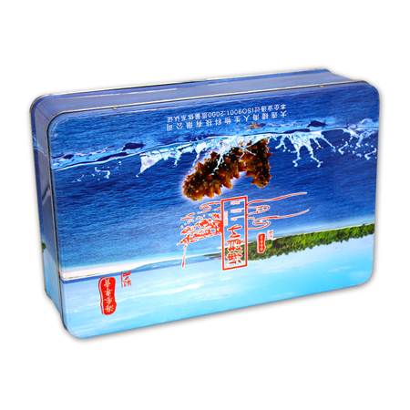 Big Size Food Packaging Rectangular Metal Box